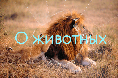 Hover Image