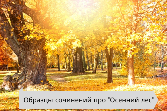 Трава Осенью Сочинение