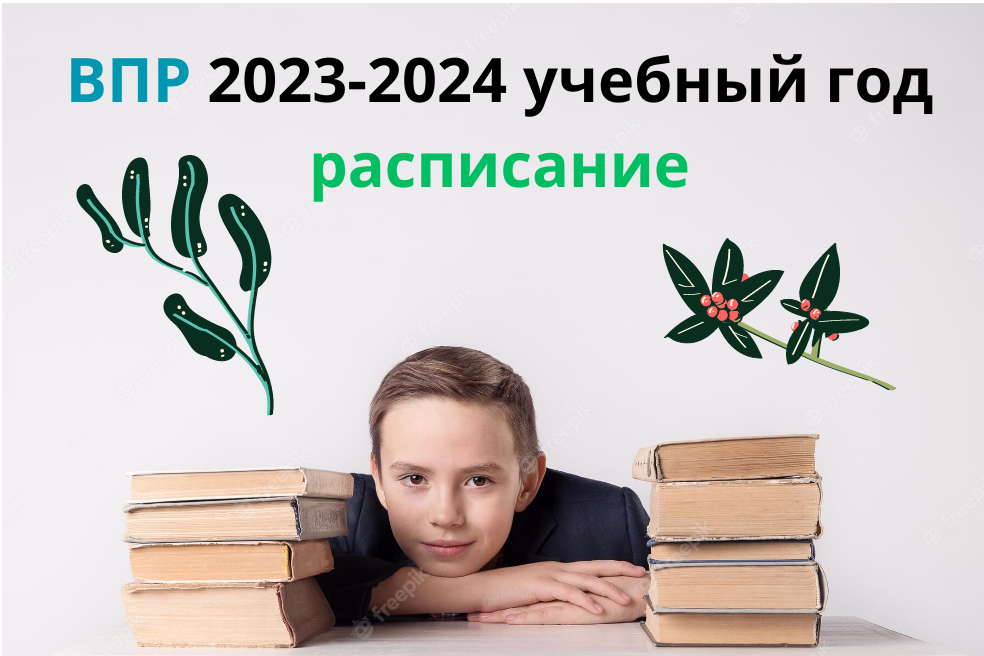 Впр в 2023 2024 учебном году